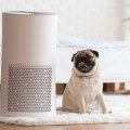 Unveiling Home Furnace Air Filters for Allergen Control