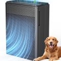 Best 11.25x23.25x4 Filter for Homes with Multiple Pets