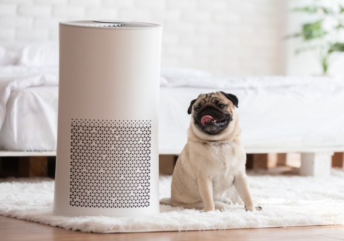 Unveiling Home Furnace Air Filters for Allergen Control